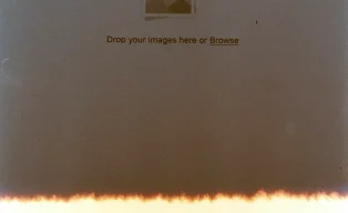 photo-1595872018818-97555653a011 photo-1595872018818-97555653a011